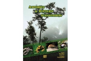 Amphibien and Reptilien Südostasiens